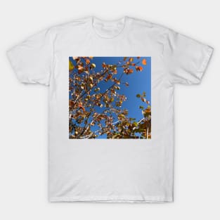 Apple Tree T-Shirt